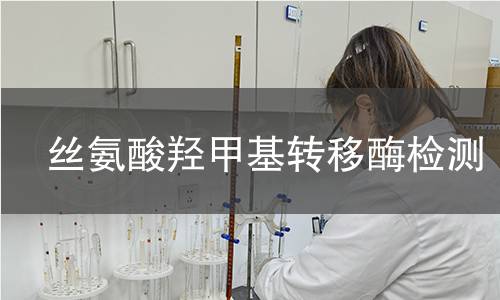 丝氨酸羟甲基转移酶检测 丝氨酸羟甲基转移酶检测