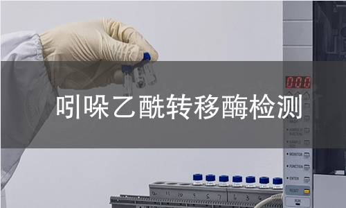 吲哚乙酰转移酶检测 吲哚乙酰转移酶检测