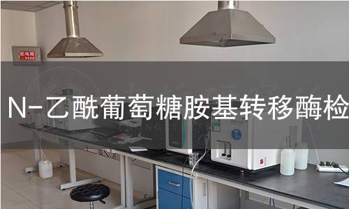 N-乙酰葡萄糖胺基转移酶检测 N-乙酰葡萄糖胺基转移酶检测