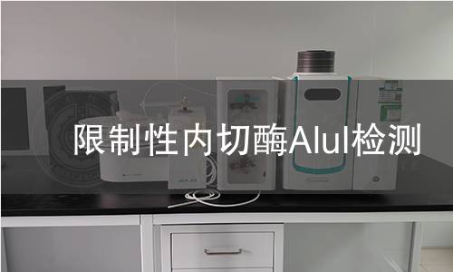 限制性内切酶AluI检测 限制性内切酶AluI检测