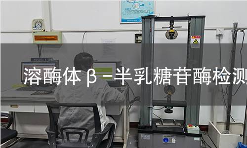 溶酶体β-半乳糖苷酶检测