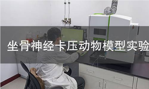 坐骨神经卡压动物模型实验 坐骨神经卡压动物模型实验