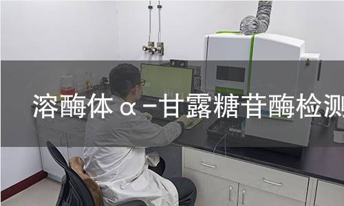  溶酶体α-甘露糖苷酶检测