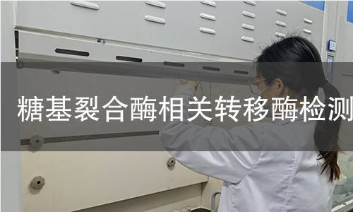 糖基裂合酶相关转移酶检测 糖基裂合酶相关转移酶检测