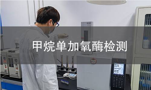  甲烷单加氧酶检测