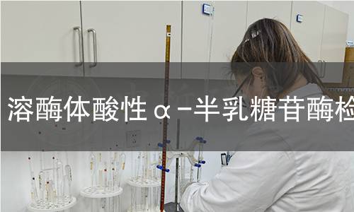 溶酶体酸性α-半乳糖苷酶检测 溶酶体酸性α-半乳糖苷酶检测
