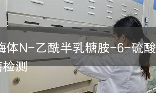  溶酶体N-乙酰半乳糖胺-6-硫酸酯酶检测