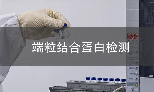 端粒结合蛋白检测 端粒结合蛋白检测