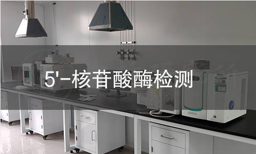 5'-核苷酸酶检测 5'-核苷酸酶检测