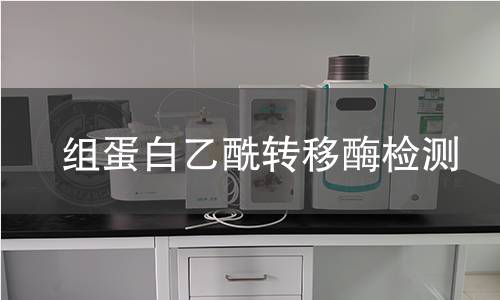 组蛋白乙酰转移酶检测 组蛋白乙酰转移酶检测