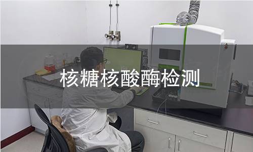 核糖核酸酶检测 核糖核酸酶检测