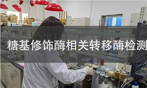 糖基修饰酶相关转移酶检测 糖基修饰酶相关转移酶检测