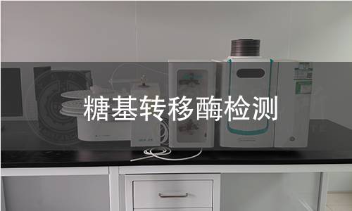 糖基转移酶检测 糖基转移酶检测