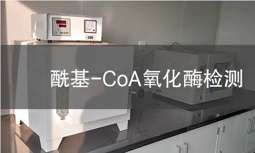  ?；?CoA氧化酶检测