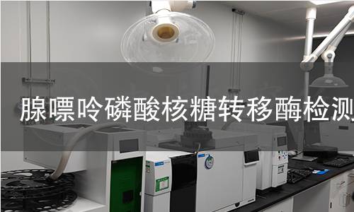 腺嘌呤磷酸核糖转移酶检测 腺嘌呤磷酸核糖转移酶检测