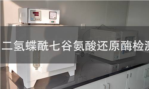 二氢蝶酰七谷氨酸还原酶检测 二氢蝶酰七谷氨酸还原酶检测