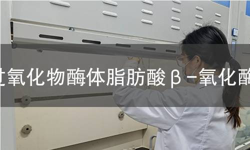 过氧化物酶体脂肪酸β-氧化酶检测 过氧化物酶体脂肪酸β-氧化酶检测