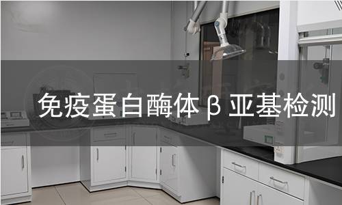  免疫蛋白酶体β亚基检测