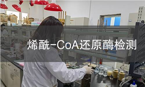 烯酰-CoA还原酶检测 烯酰-CoA还原酶检测