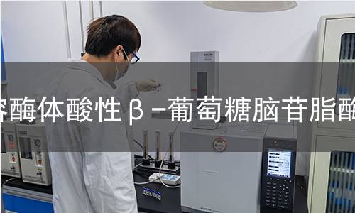  溶酶体酸性β-葡萄糖脑苷脂酶检测