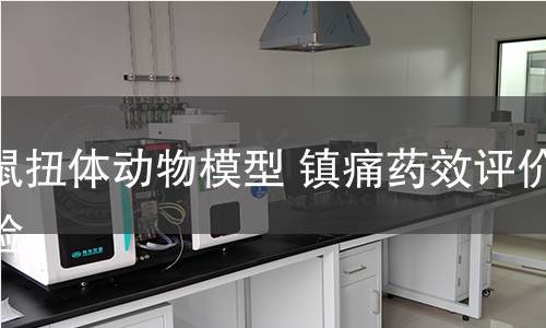 小鼠扭体动物模型 镇痛药效评价实验 小鼠扭体动物模型 镇痛药效评价实验