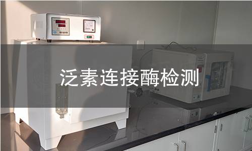 泛素连接酶检测 泛素连接酶检测