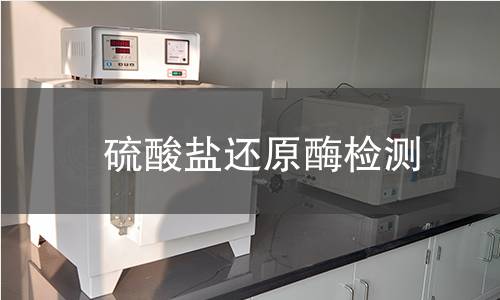 硫酸盐还原酶检测