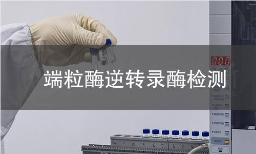 端粒酶逆转录酶检测 端粒酶逆转录酶检测