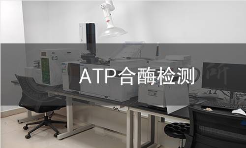 ATP合酶检测 ATP合酶检测