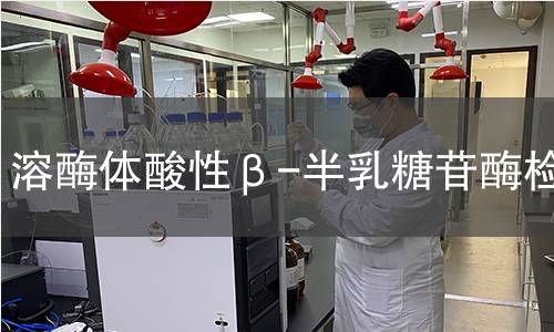  溶酶体酸性β-半乳糖苷酶检测