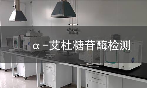  α-艾杜糖苷酶检测