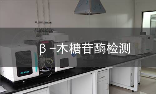 β-木糖苷酶检测 β-木糖苷酶检测