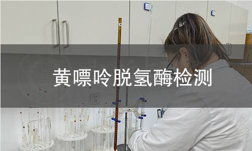 黄嘌呤脱氢酶检测 黄嘌呤脱氢酶检测