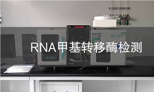 RNA甲基转移酶检测 RNA甲基转移酶检测