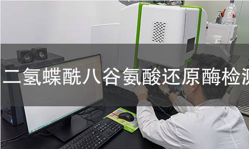 二氢蝶酰八谷氨酸还原酶检测 二氢蝶酰八谷氨酸还原酶检测