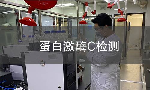 蛋白激酶C检测 蛋白激酶C检测