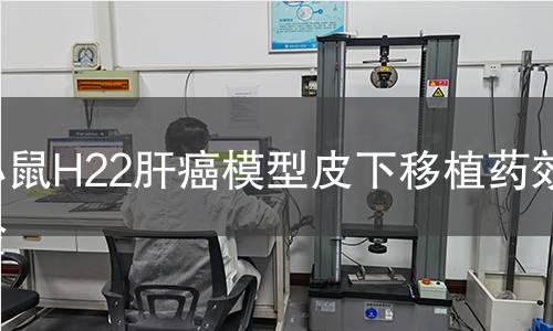 小鼠H22肝癌模型皮下移植药效实验 小鼠H22肝癌模型皮下移植药效实验