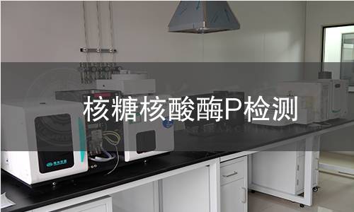 核糖核酸酶P检测 核糖核酸酶P检测