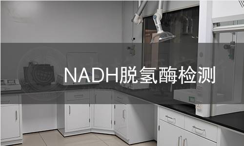 NADH脱氢酶检测 NADH脱氢酶检测