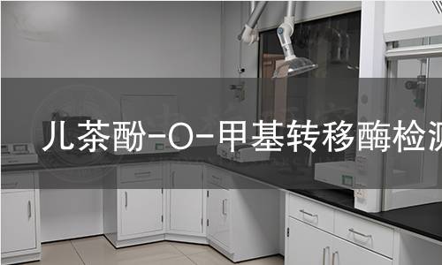 儿茶酚-O-甲基转移酶检测 儿茶酚-O-甲基转移酶检测