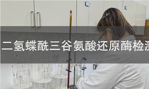 二氢蝶酰三谷氨酸还原酶检测 二氢蝶酰三谷氨酸还原酶检测
