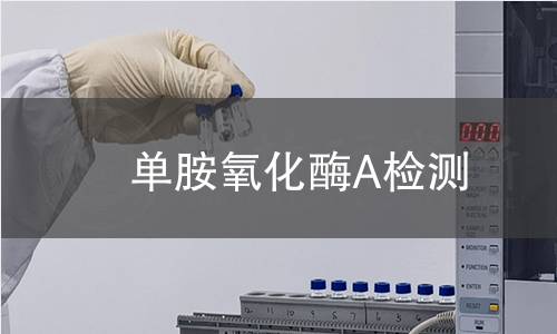 单胺氧化酶A检测 单胺氧化酶A检测
