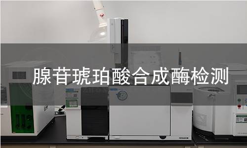 腺苷琥珀酸合成酶检测 腺苷琥珀酸合成酶检测