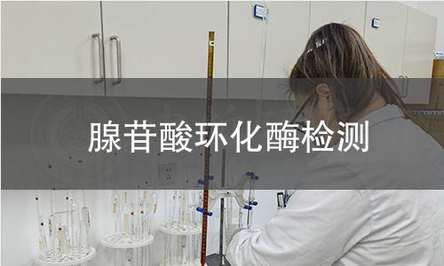 腺苷酸环化酶检测 腺苷酸环化酶检测