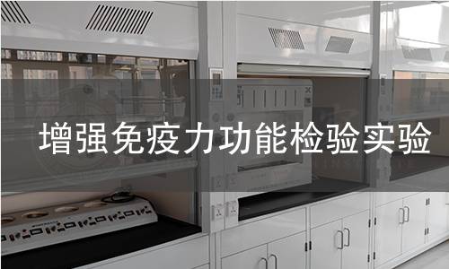 增强免疫力功能检验实验 增强免疫力功能检验实验
