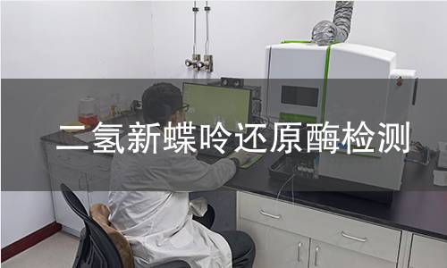 二氢新蝶呤还原酶检测 二氢新蝶呤还原酶检测