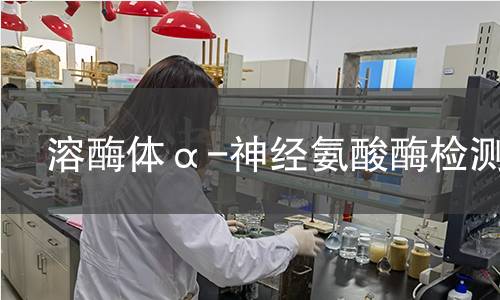  溶酶体α-神经氨酸酶检测
