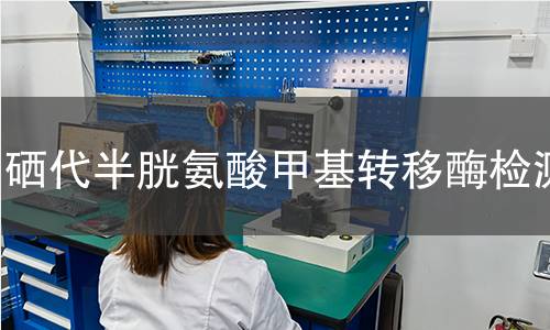 硒代半胱氨酸甲基转移酶检测 硒代半胱氨酸甲基转移酶检测