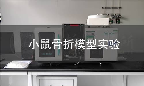 小鼠骨折模型实验 小鼠骨折模型实验