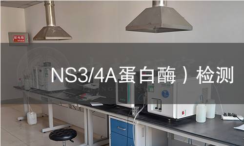 NS3/4A蛋白酶)检测 NS3/4A蛋白酶)检测